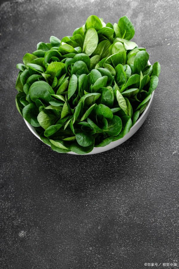 金领速配 绿色蔬菜认养项目：赋能农业生态链建设的新路径