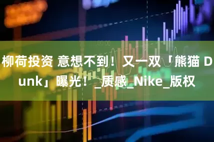 柳荷投资 意想不到！又一双「熊猫 Dunk」曝光！_质感_Nike_版权