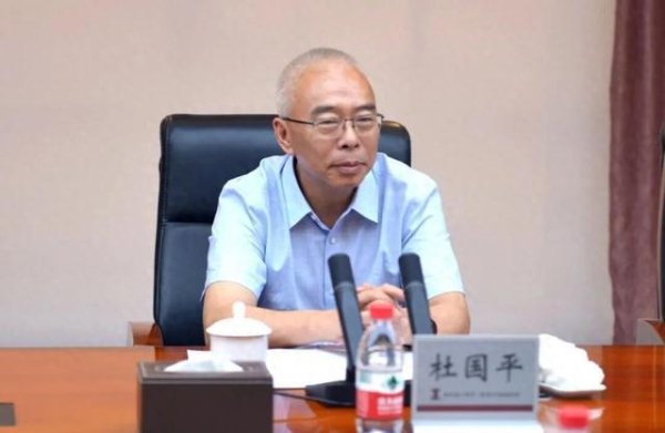 股融贷 涉嫌严重违纪违法，杜国平被查