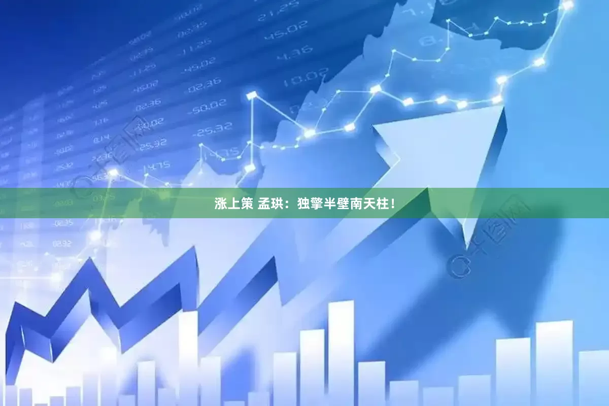 涨上策 孟珙：独擎半壁南天柱！