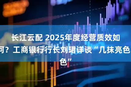 长江云配 2025年度经营质效如何？工商银行行长刘珺详谈“几抹亮色”
